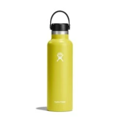 Hydro Flask 21 Oz Standard Mouth Water Bottle -Marmot Store s21sx752 cactus straighton 1