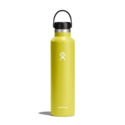 Hydro Flask 24 Oz Standard Mouth Water Bottle -Marmot Store s24fs752 cactus straighton 1